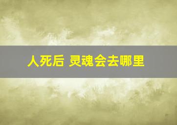 人死后 灵魂会去哪里